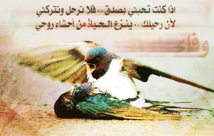 sobhan allah